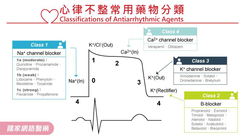 心兒蹦蹦跳～帶你認識『心搏過速』_圖3
