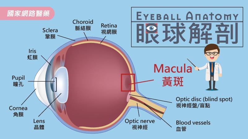 藍光累積恐傷眼? 日常的預防與保健_圖2
