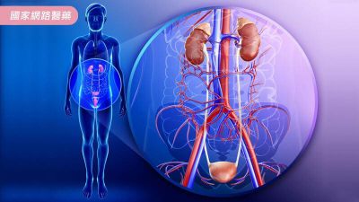 長期憋尿問題多？男性泌尿系統簡介