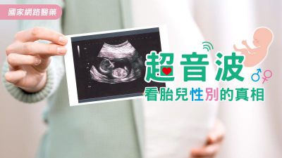 超音波看胎兒性別的真相