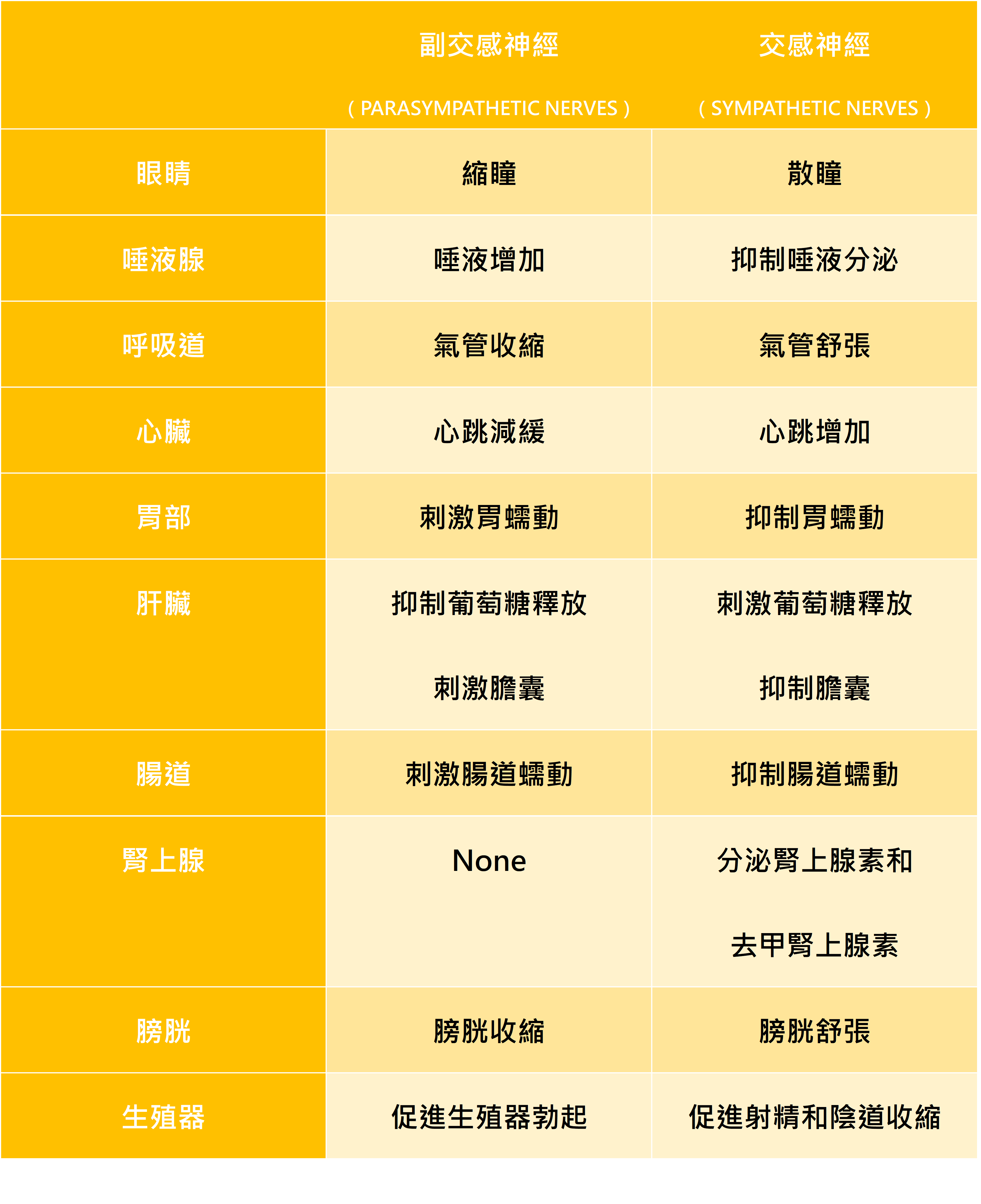 Why？小朋友生病時，每到晚上狀況多！！_圖4