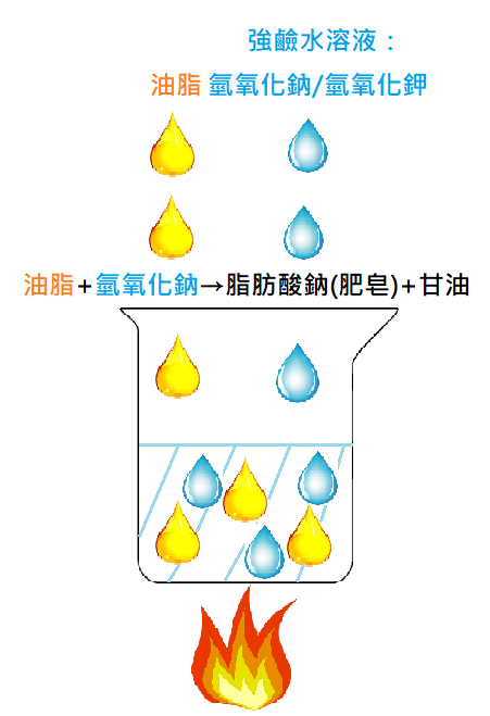 網傳：「吃鈣片+魚油會腹瀉？！」藥師話真相！！_圖2