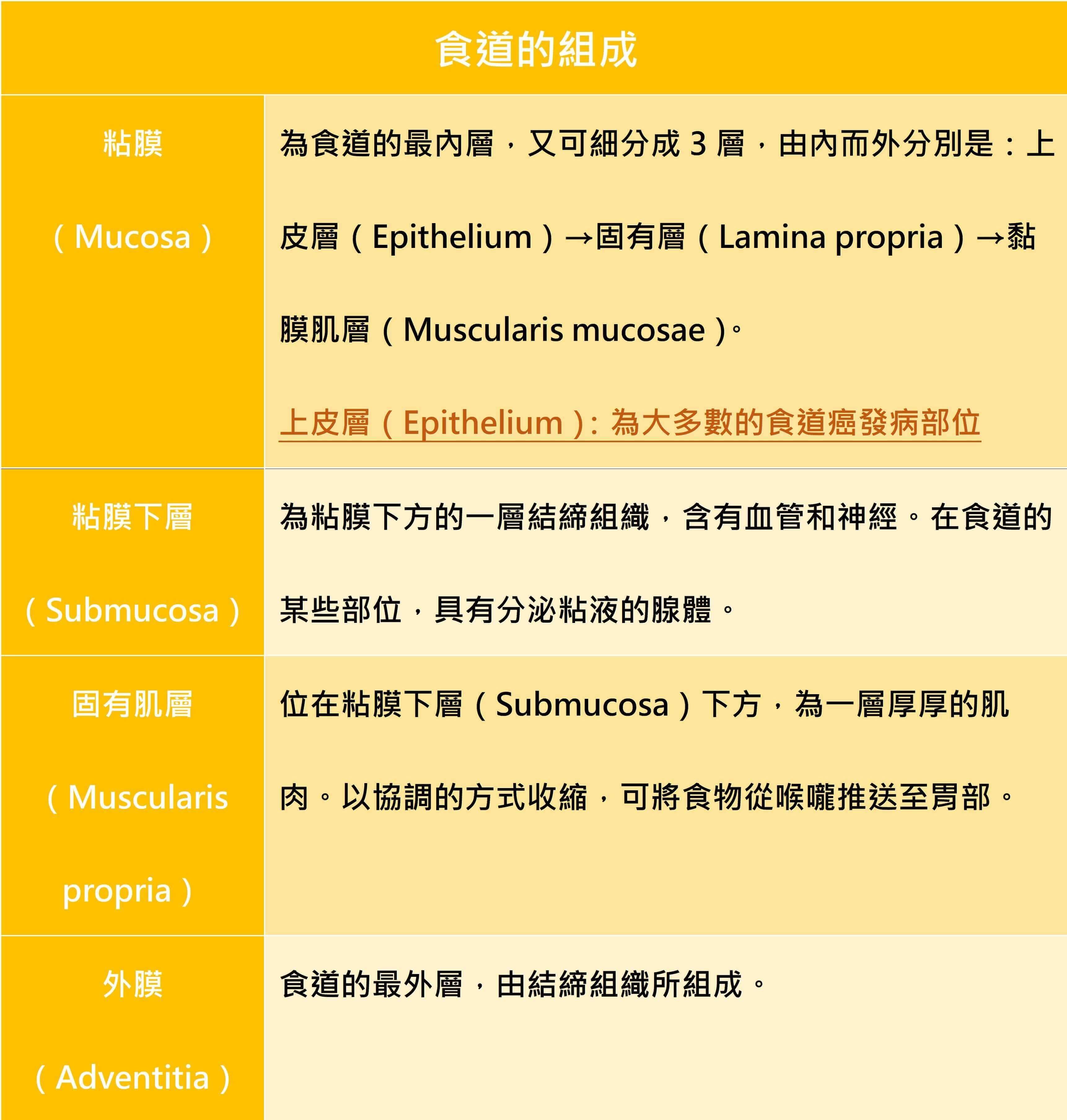 忽視胃食道逆流，小心食道癌找上門_圖2