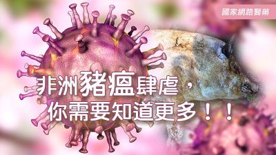 非洲豬瘟肆虐，你需要知道更多！！