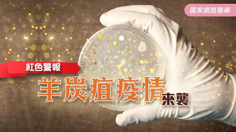 紅色警報－羊炭疽疫情來襲_圖1