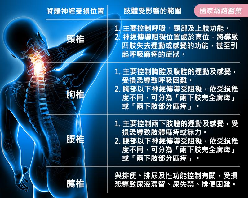 無法逆轉的〝脊髓神經損傷〞治療與復健_圖3