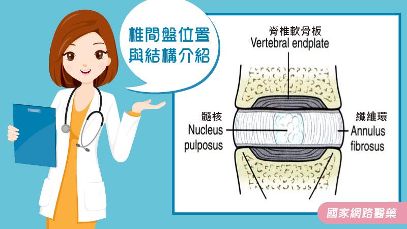 近7成民眾有椎間盤突出的困擾！正確治療與預防建議！_圖2