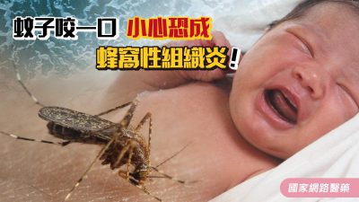 蚊子咬一口 小心恐成蜂窩性組織炎！