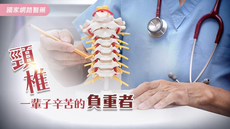 頸椎～一輩子辛苦的負重者_圖1