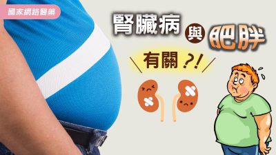 腎臟病與肥胖有關？！你不知道的肥胖併發症