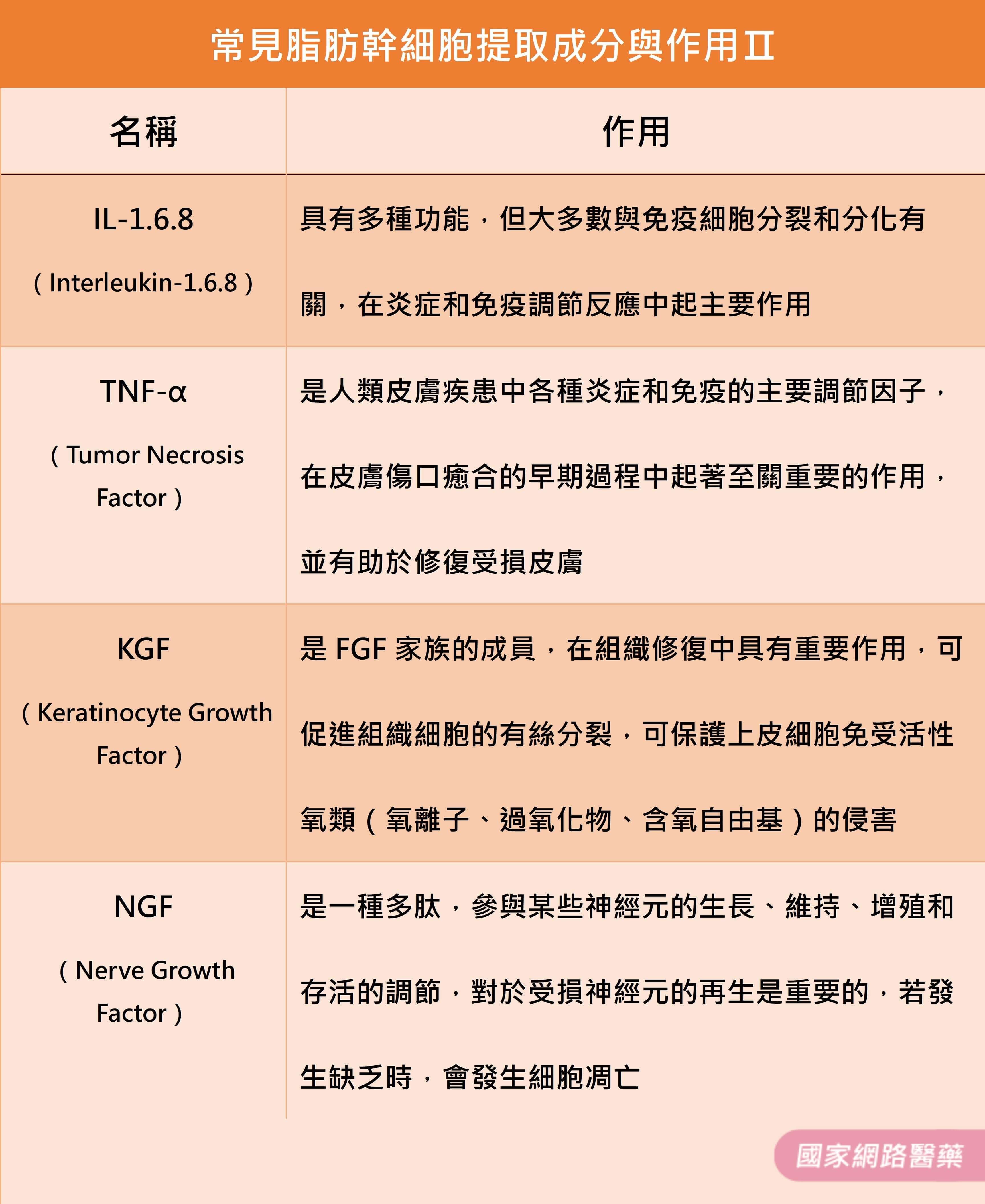 夢寐以求的青春秘密，竟藏在脂肪細胞裡！？_圖3