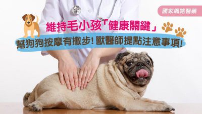 維持毛小孩健康關鍵 幫狗狗按摩有撇步！獸醫師提點注意事項