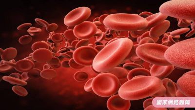 【道聽不塗說】聽說比較胖的人比較不會貧血？