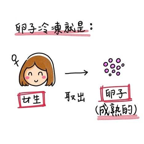 不願被生育年齡追著跑 凍卵前需了解的真相_圖4