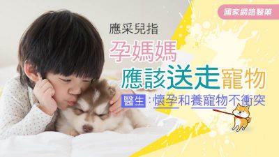 應采兒指孕媽媽應該送走寵物，醫生：懷孕和養寵物不衝突