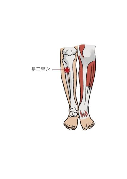 「沉默殺手」高血壓，台灣每4人就有1人！中醫診所院長教你，在家用這方法就可降血壓_圖3