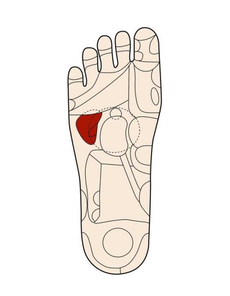 「沉默殺手」高血壓，台灣每4人就有1人！中醫診所院長教你，在家用這方法就可降血壓_圖5