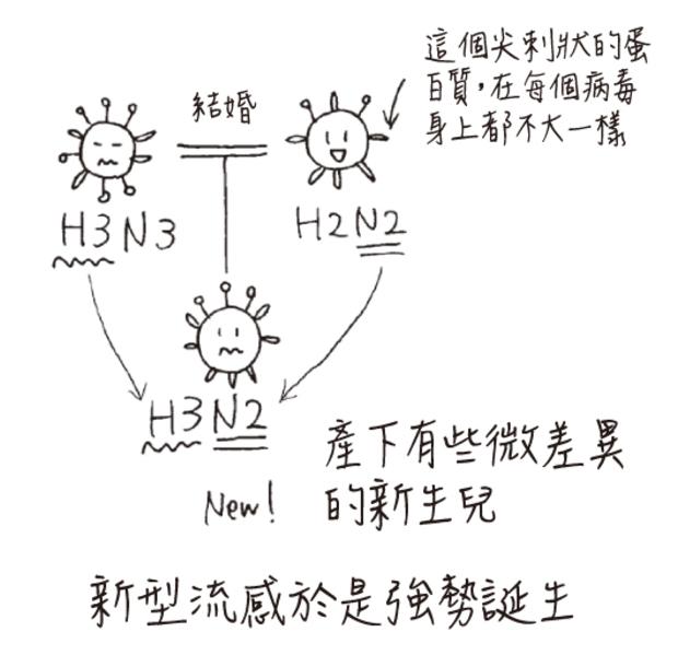先忘記武漢肺炎，台灣流感已112死！醫生讓你搞懂：為什麼每年都要打一次疫苗_圖3