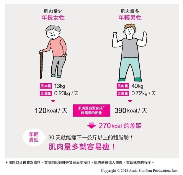 打造易瘦體質,吃絞肉竟比肉塊好?專家教你怎麼「挑對」蛋白質,靠3招「這樣吃」增肌減脂最有效_圖2 打造易瘦體質,吃絞肉竟比肉塊好?專家教你怎麼「挑對」蛋白質,靠3招「這樣吃」增肌減脂最有效_圖2