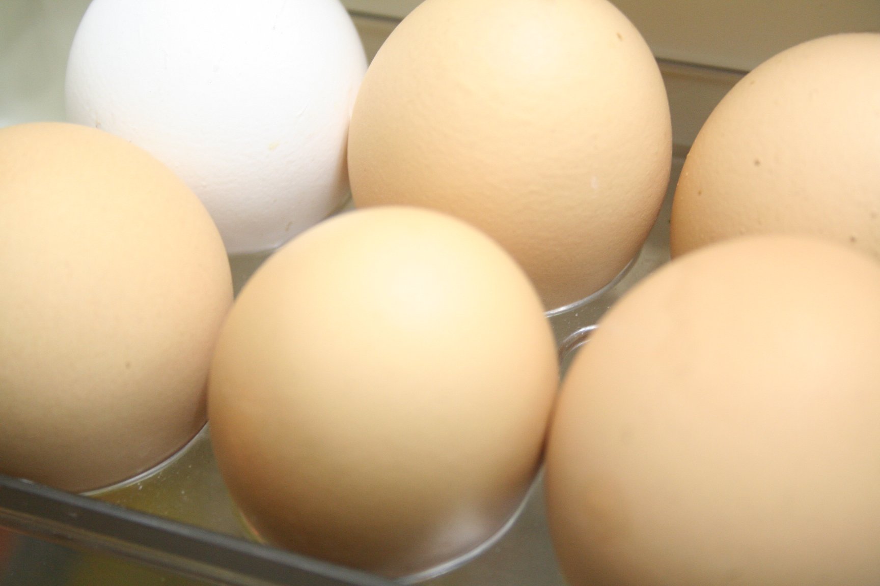 軟嫩鰻魚蛋皮捲