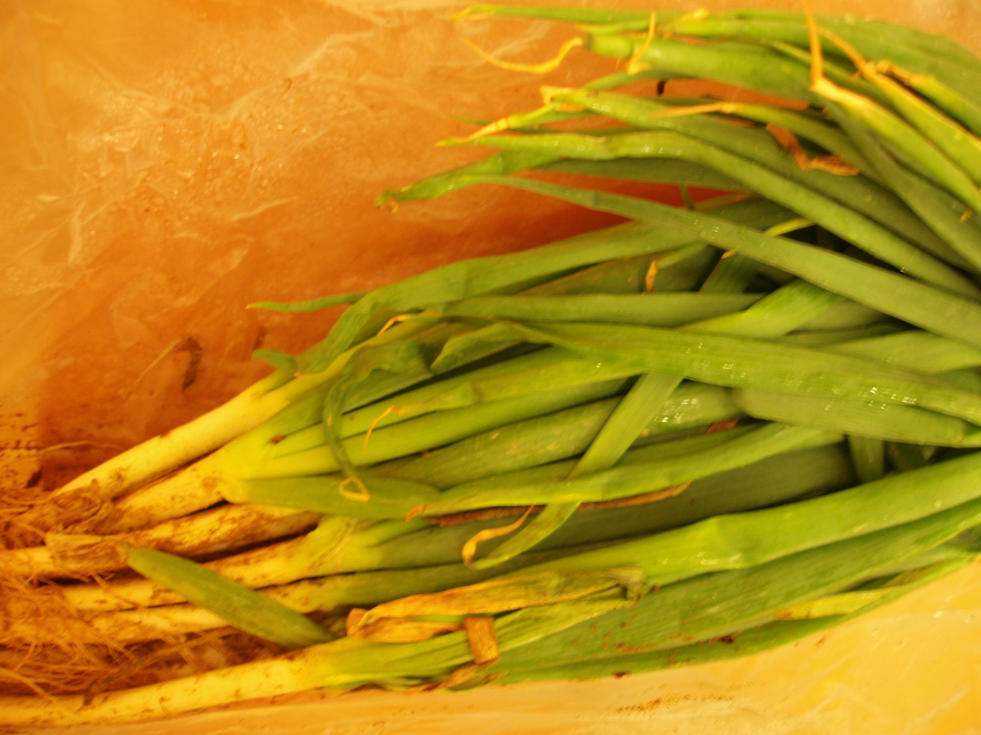 好彩頭∼燒蘿蔔