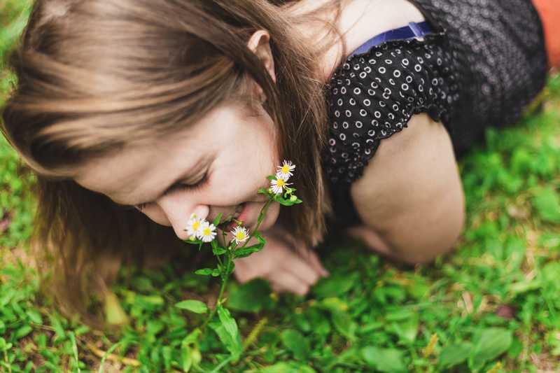 夢見在吃草：嘲笑與反思的夢境意涵的夢境示意圖