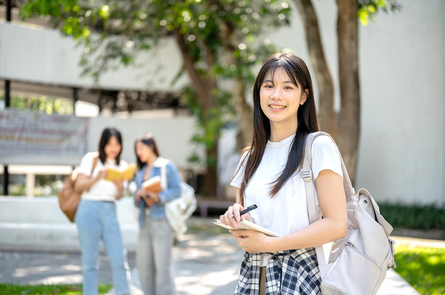 夢見青春：重返起點，再創輝煌的夢境示意圖