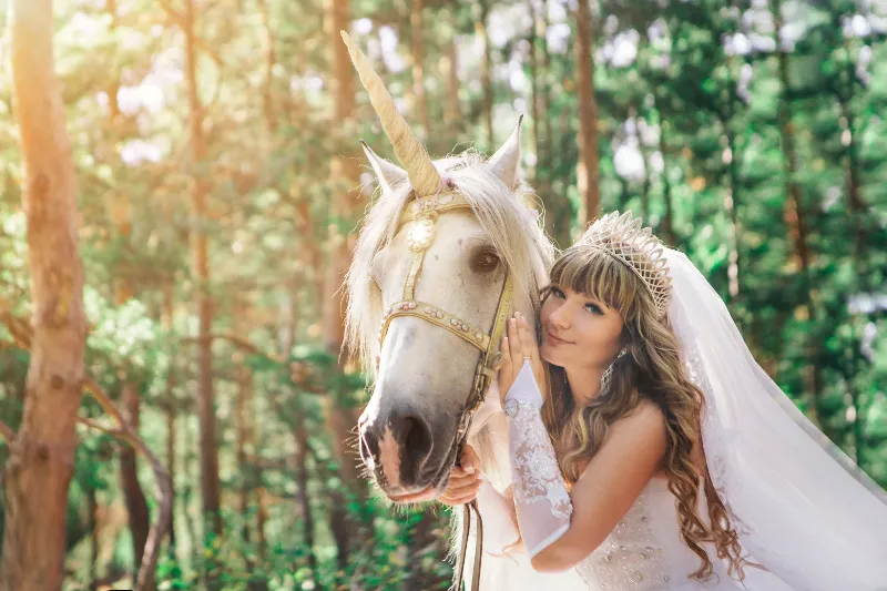 騎馬奔馳的風景與幸福的預兆的夢境示意圖