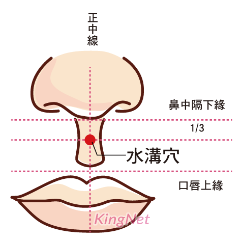 水溝穴(人中)穴位 水溝穴(人中)穴位