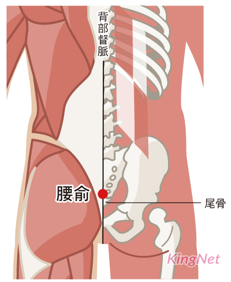 腰俞穴(背解、髓空、腰戶、腰柱、髓孔、髓俞)