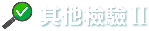 其他檢驗 II