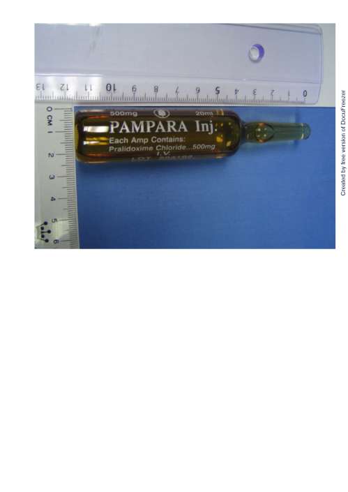 PAMPARA INJECTION 把母巴拉注射液