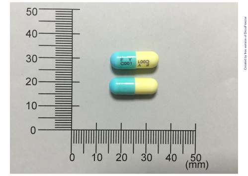 GLARE CAPSULES "F.Y." "福元"益清膠囊