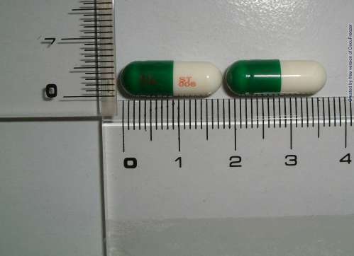 CEPHALEXIN CAPSULES 250mg "TBC" "信東"信保欣膠囊250毫克