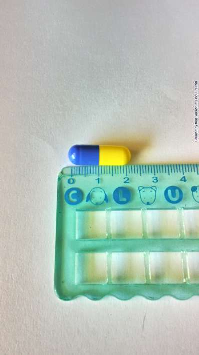 FLOFEN CAPSULES "美"緩炎舒痛膠囊