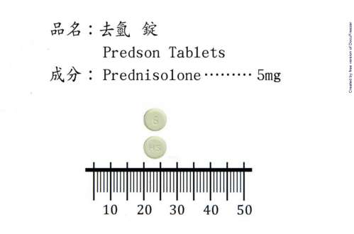 PREDSON TABLETS "H.S." "華興"去氫錠