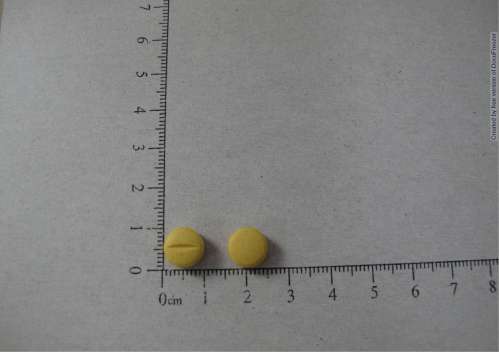 GERISTS TABLETS 治痢錠