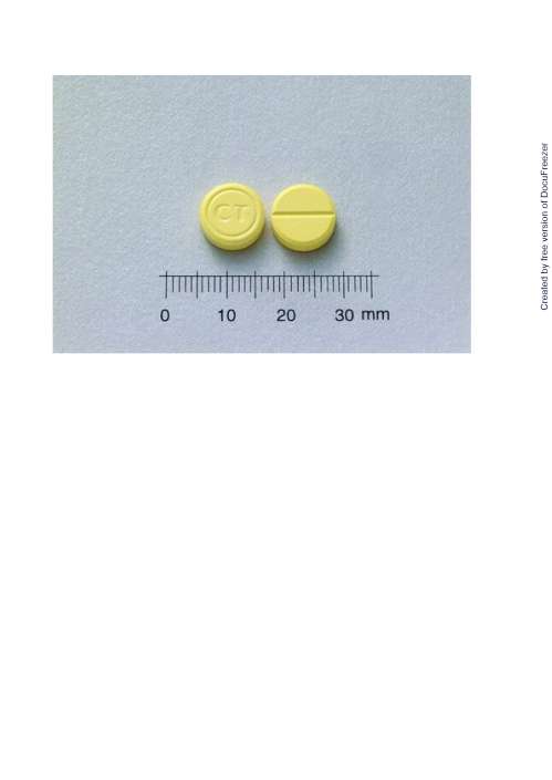 MEFEN TABLETS "CHINTENG" "井田" 莫炎錠