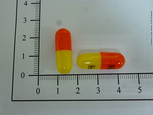 CEPHALEXIN CAPSULES "CSP" 賜福力欣膠囊