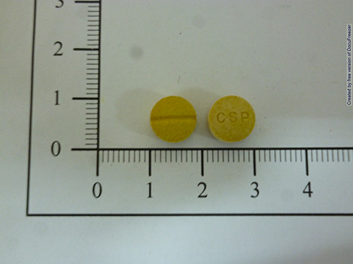 INTESTOGEN TABLETS "C.S.P." 欲健腸錠