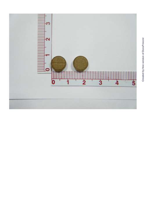 SAN HUNG TABLETS "C.T." 三黃錠