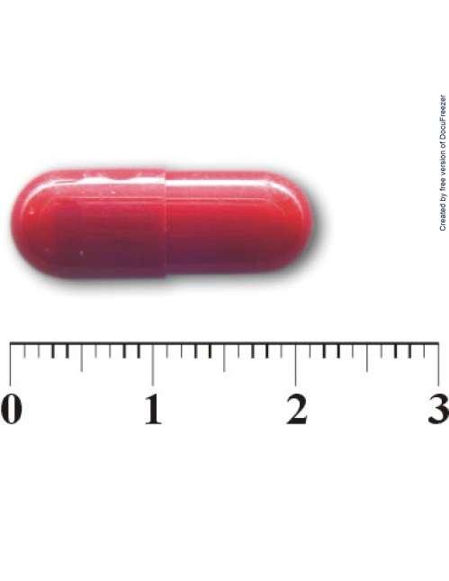 LIPOTECON CAPSULES "GENTLE" 力保體康膠囊