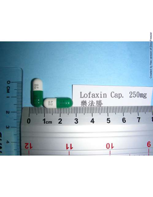 LOFAXIN CAPSULES 250MG (CEPHALEXIN) "GENTLE" 樂法勝膠囊２５０公絲（賜福力欣）