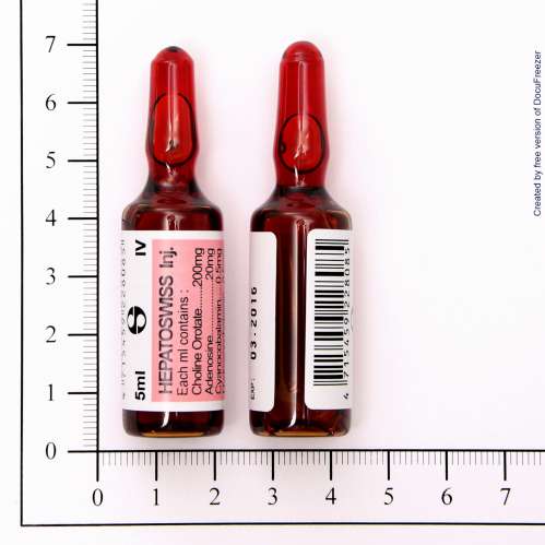 HEPATOSWISS I.V. INJECTION (For infusion use) 瑞保靜脈注射液(輸注用)