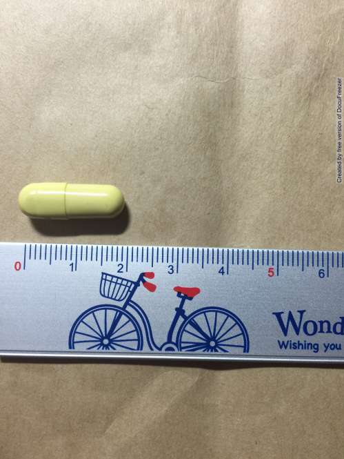 LIPOCIN CAPSULES 痢博新膠囊