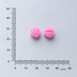 LEMISOL TABLETS (LEVAMISOLE) 樂利得錠（樂瓦米索）