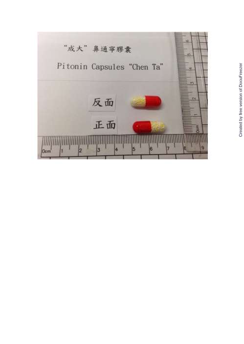 PITONIN CAPSULES "CHEN TA" 鼻通寧膠囊