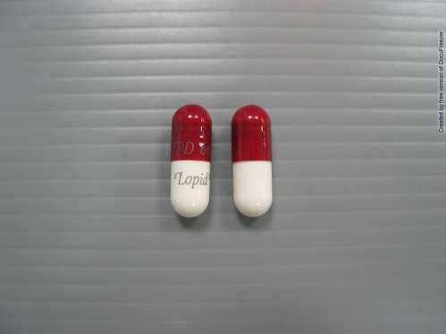LOPID CAPSULES 300MG (GEMFIBROZIL) 洛脂膠囊３００毫克（健菲布脂）(1)