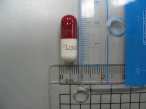 LOPID CAPSULES 300MG (GEMFIBROZIL) 洛脂膠囊３００毫克（健菲布脂）
