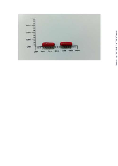 HOKURAMINE CAPSULES "F.Y." "福元" 福克拉邁膠囊